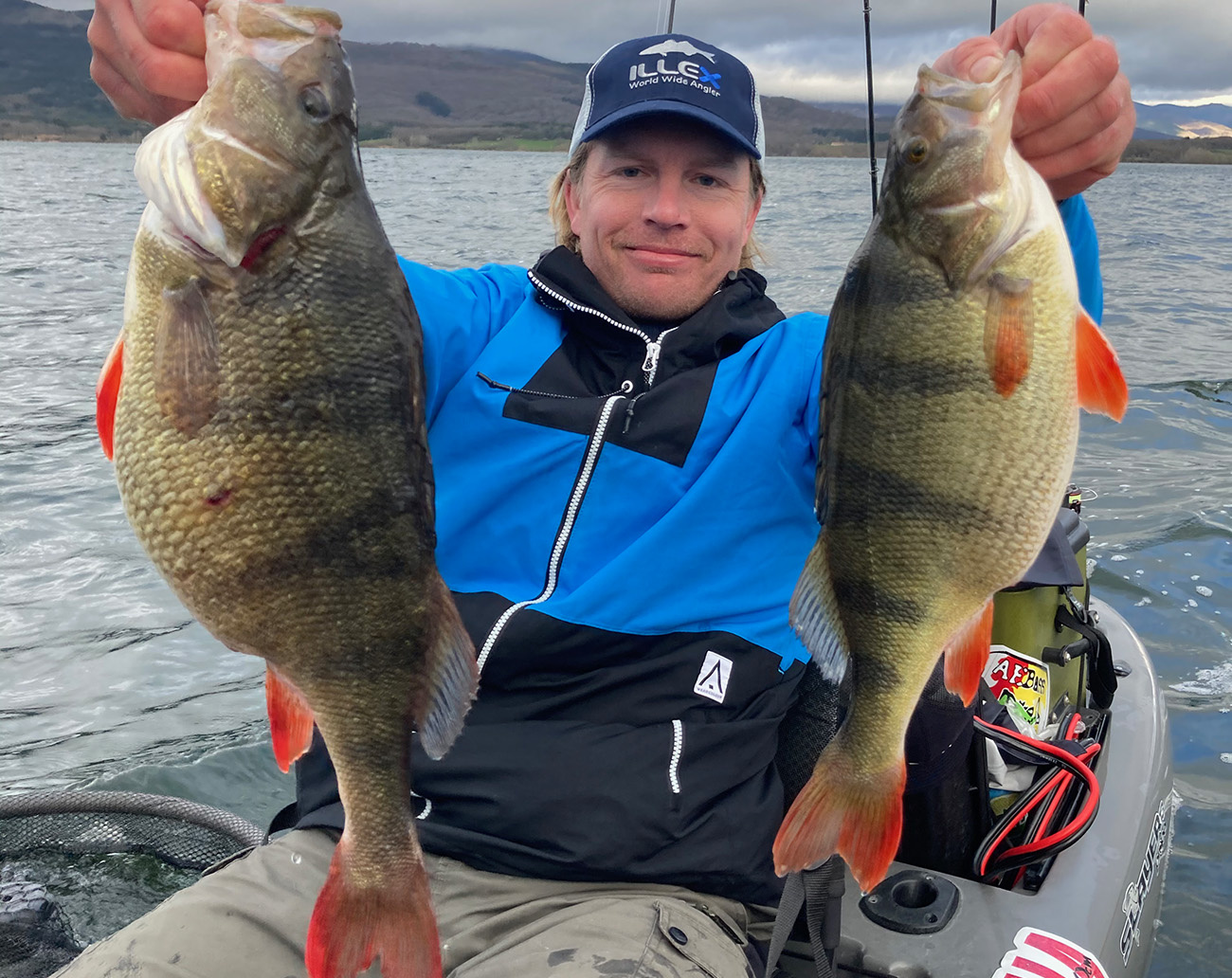 Lunker City SwimFish 7 cm